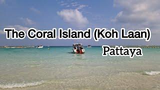 How To Get From Pattaya To Koh Larn- the Coral Island by ferry ️?