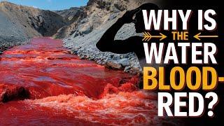 "Shocking! Blood-Red Water Flows Down Mountain in Iran – The Science Behind This Rare Event"