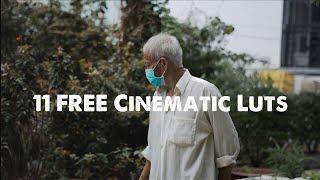 11 FREE Cinematic Luts | Color Grading |
