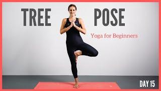 How to do tree pose | Yoga for beginners | 5 minute yoga