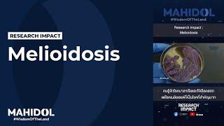 Melioidosis [Research Impact] | Mahidol #WisdomOfTheLand