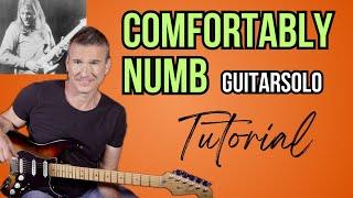 Comfortably Numb (Pink Floyd): David Gilmours faszinierendes GUITAR SOLO auf Gitarre lernen