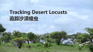 Tracking Desert Locusts  追踪沙漠蝗虫