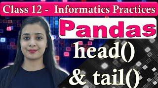 Pandas DataFrame - head() and tail() | CBSE Class 12 - IP | Lovejeet Arora #12board #12CS