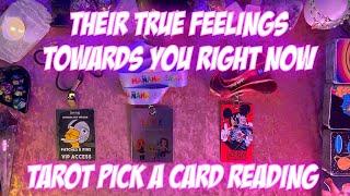 Their True and Honest Feelings Towards You Right Now! Tarot Pick a Card Love Reading