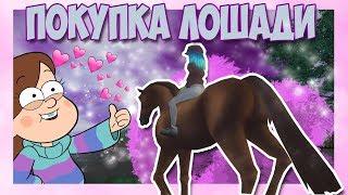 Star Stable на русском / ПОКУПКА ЛОШАДИ/ Koda