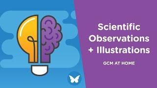 Making Scientific Observations + Illustrations