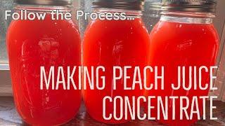 Making Peach Juice Concentrate - Use up those small peaches - Canning - Steam Juicer & Steam Canner