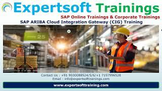 SAP ARIBA CIG Training | SAP ARIBA CIG Online Training | SAP ARIBA CIG Corporate Training