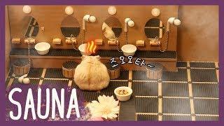 A Spa day for my hamster!! (hamster sauna)