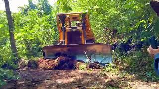 The highest Risk Job CAT D6R XL Cutting Hill in the dark forest