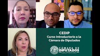 EN VIVO / Curso Introductorio a la Cámara de Diputados