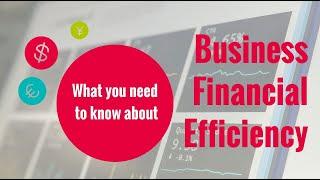 BUSINESS FINANCIAL EFFICIENCY