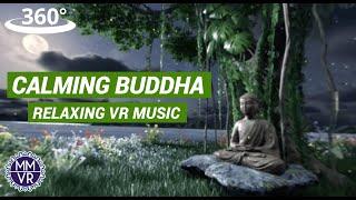 Relaxing Zen music in 360 VR | Tree of Awakening - Meditation music for Oculus Quest