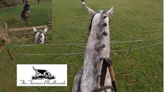 An Incredible Gallop with the Farmers Bloodhounds in Notgrove | Equestrian