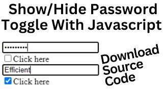 How to Make Password Hide Show using HTML CSS & JavaScript