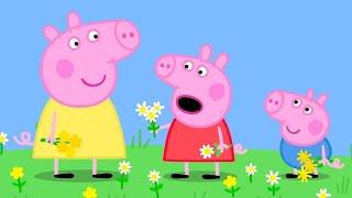 Peppa Pig And George Go Flower Picking | Kids TV And Stories