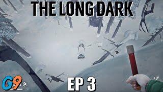 The Long Dark - EP3 (How Pleasant is this Valley?)