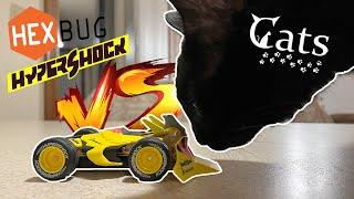 HEXBUG HYPERSHOCK vs CATS!