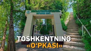 Toshkentning bohavo maskani  | Botanika bog'i