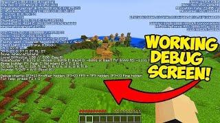 NEW F3 Debug Screen Addon for Minecraft Bedrock 1.20+ | MCPE, Xbox One Android, IOS, Ps4, Switch