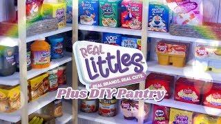 DIY - How to Make: Miniature Pantry PLUS Shopkins Real Littles Mega Haul