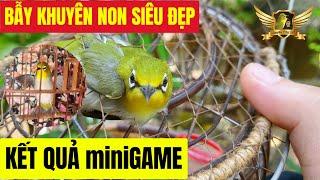 Bẫy Được Bánh Tẻ Cực Đẹp Và Kết Quả MiniGame Tặng Chim - White Eye Bird Trap | KTB