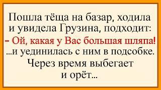 Как Теща на Грузина залезла! Сборник свежих анекдотов! Юмор!