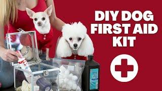 DIY Dog First Aid Kit: A List of Essentials | Proud Dog Mom