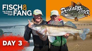  FISCH & FANG BEI DER PREDATORTOUR 2019 (3 von 3)  | PredatorTour 2020 | Pike Zander Perch fishing