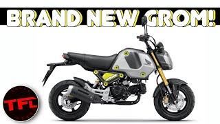 Breaking News: The New 2021 Honda Grom Gets A MAJOR Overhaul! Will It Come To The U.S.?