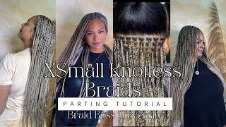 Extra Small knotless  Braids Parting Chart tutorial | Braid Boss University | Ash Blonde Braids