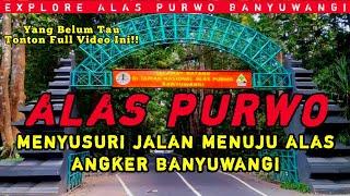 Beginilah Kondisi Jalan Menuju Alas Purwo Banyuwangi Saat Ini - Hutan Paling Angker Di Jawa