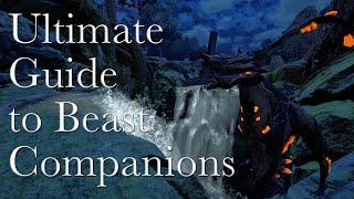 Ultimate Guide to Companion 2.0 Beasts | Warframe Koumei and the Five Fates