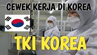 CEWEK KERJA DI KOREA‼️