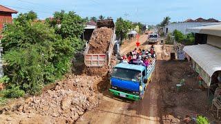 Combine two substrate layer for quality foundation road using dozer d41p work with truck unloading