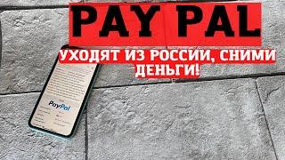 PAYPAL уходит из России, срочно нужно снять деньги со счетов!