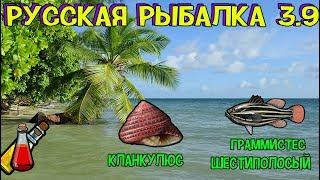 Русская рыбалка 3.9. Граммистес шестиполосый! Кланкулюс!