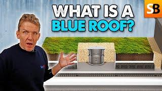 Discover the SECRET to Blue Roofs!