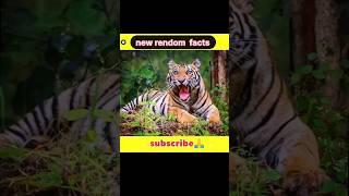 facts Amazing Facts You Didn't Know (2024) #shortfeed #shorts #tranding