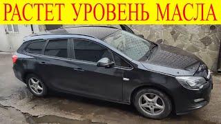 Частая неисправность всех Опелей с двигателем 1.7 растет уровень масла Opel Astra J 1.7CDTI A17DTE