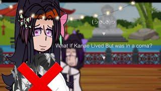 What If Kanae lived But Was In A Coma? [ SaneKana + Sanemi and Genya fluff ]