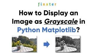 How to Display an Image as Grayscale in Python Matplotlib?