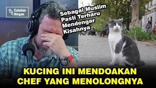 Chef ini Jatuh Miskin, Nasibnya Berubah Saat Menolong Seekor Kucing