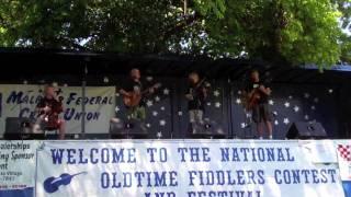 Mango live at National Fiddle Contest