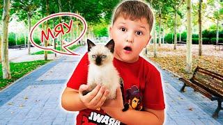 Игорь играет с котенком baby cat