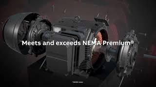 ABB NEMA Motors – SD100 & 200 Severe Duty Motors