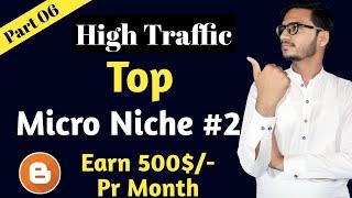 High Traffic Micro Niche 2021 || Micro Niche Blog Ideas