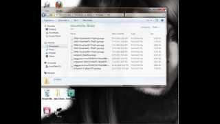 How To Install Sims 3 (Custom Content )Sims3Pack And Sims 3 Packages Files