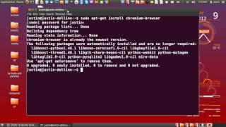 install chrome in ubuntu 12.04